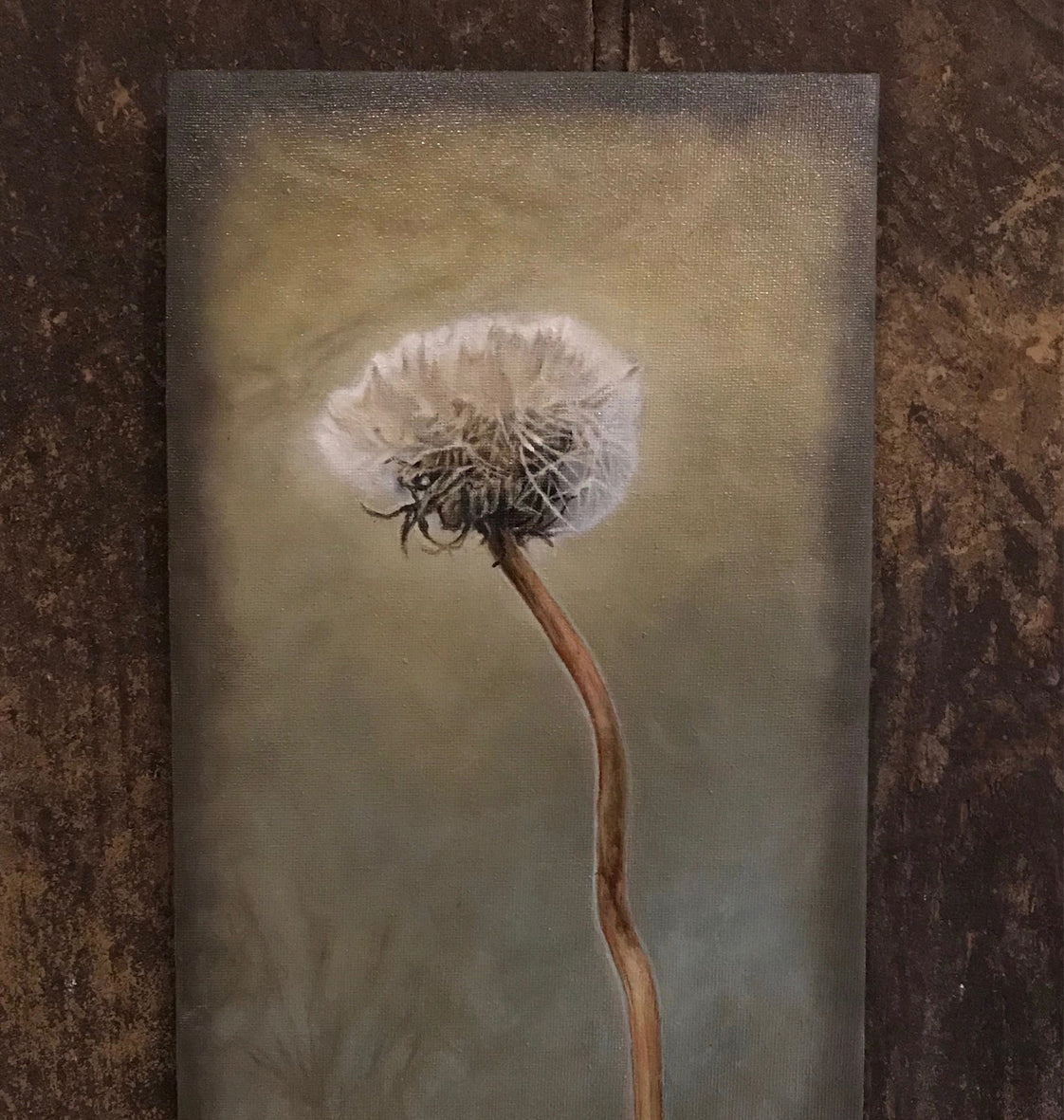 Dandelion Flower Head