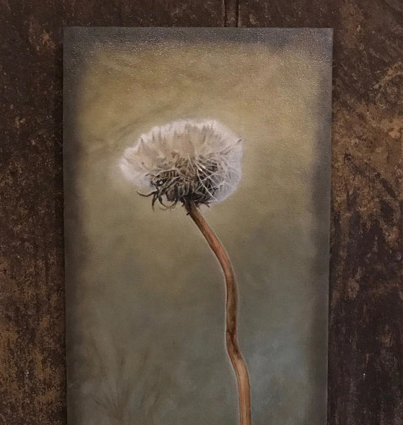 Dandelion Flower Head