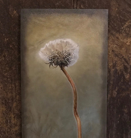 Dandelion Flower Head