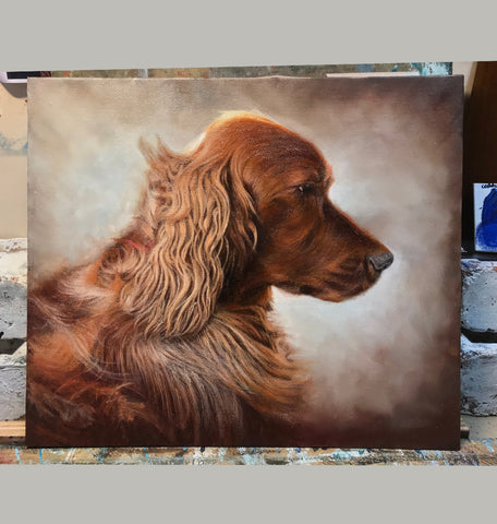 Dog Portraits