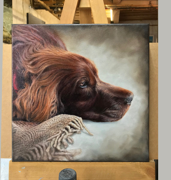 Dog Portraits