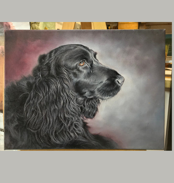 Dog Portraits