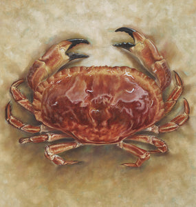 Oil painting of edible crab by artist simon royer.
