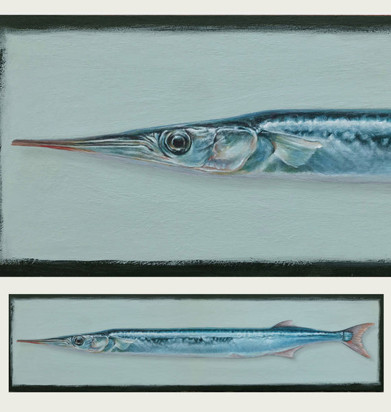 Gar Fish