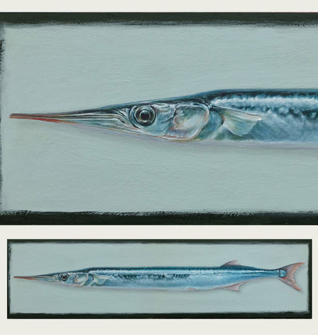 Gar Fish