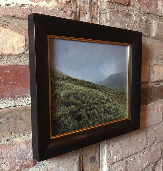 Brecon Beacons, Craig Cerrig-Gleisiad a Fan French framed oil painting by artist simon royer