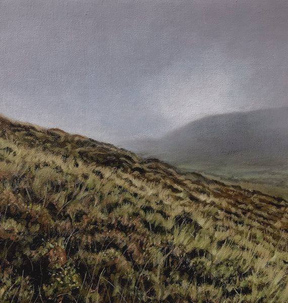 Brecon Beacons, Craig Cerrig-Gleisiad a Fan French oil painting by artist simon royer