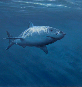'Great White Shark painting by artist simon royer.'