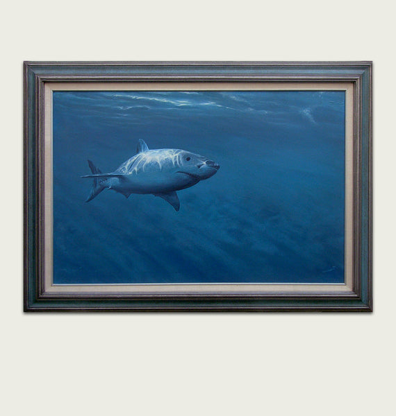 'Framed Great White Shark painting by artist simon royer.'