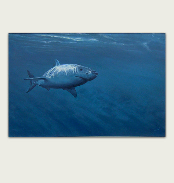 'Great White Shark painting by artist simon royer.'