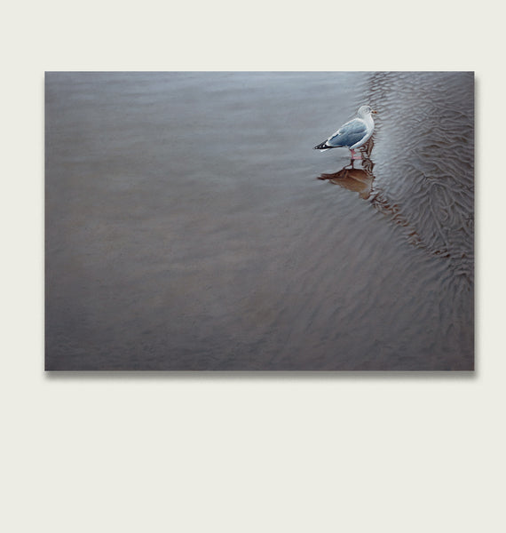 'Herring Gull on a beach oil painting by artist simon royer.'