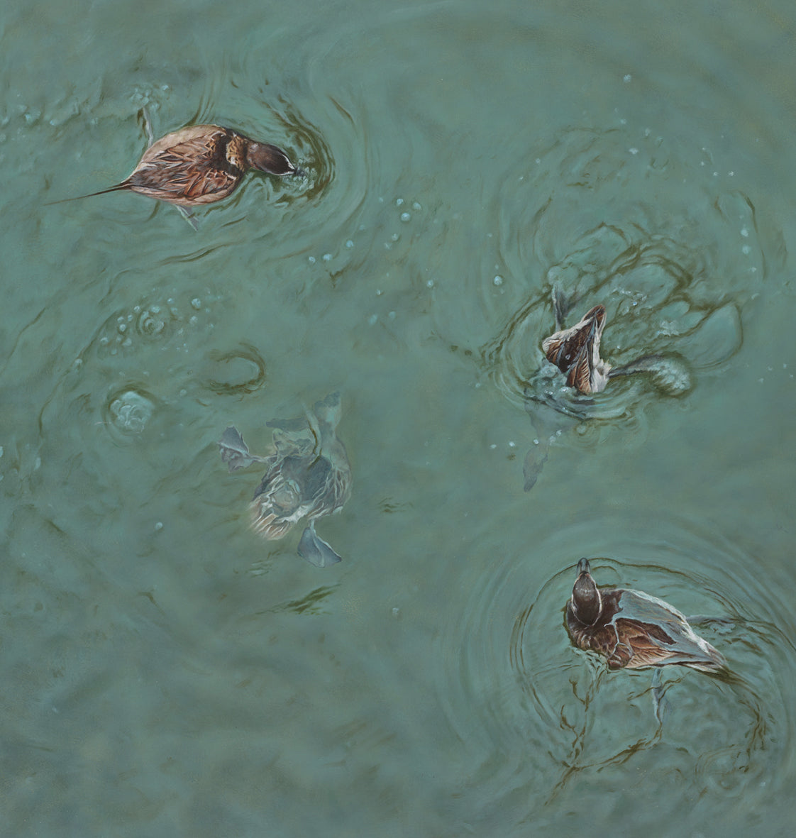 'Long Tailed Ducks oil painting by artist simon royer.'