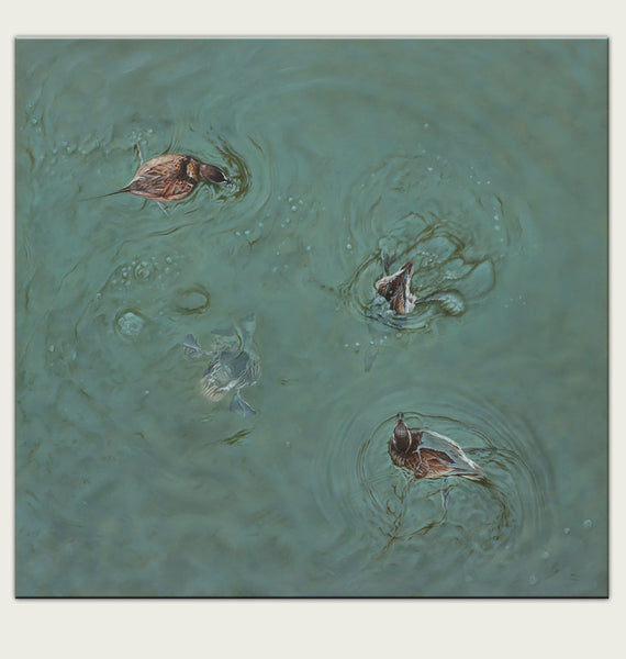 'Long Tailed Ducks oil painting by artist simon royer.'