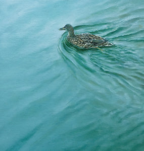 'Mallard Duck on a pond oil painting by artist simon royer.'
