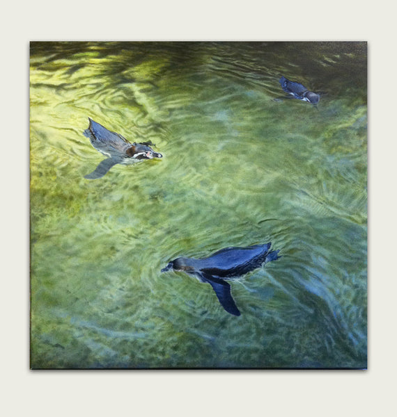 'Penguins swimming oil painting by artist simon royer.'