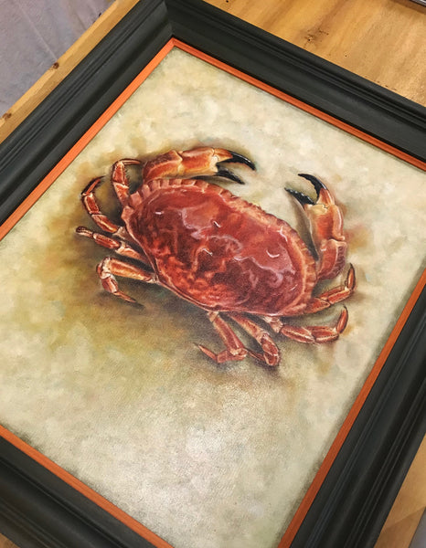 Edible Crab
