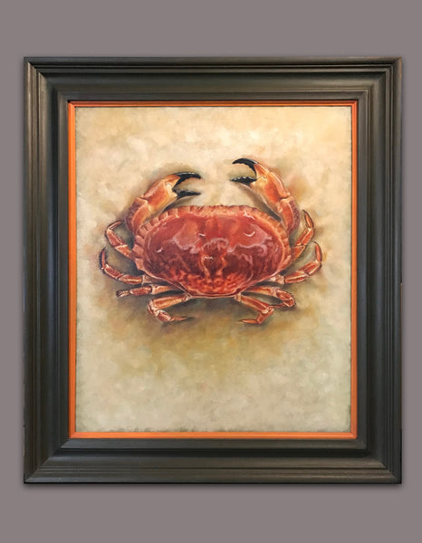Edible Crab