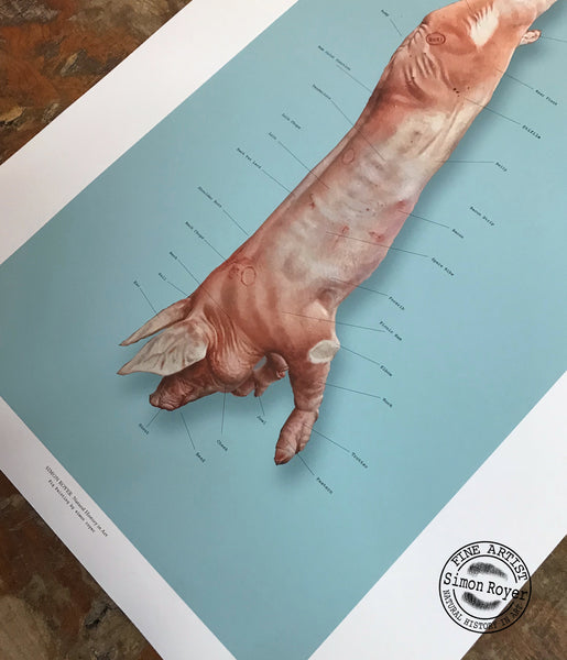 Butcher's Pork Cuts Print