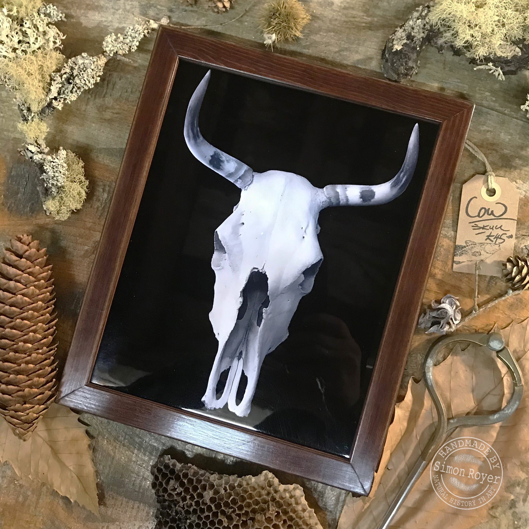 Cow Skull Ceramic Tile