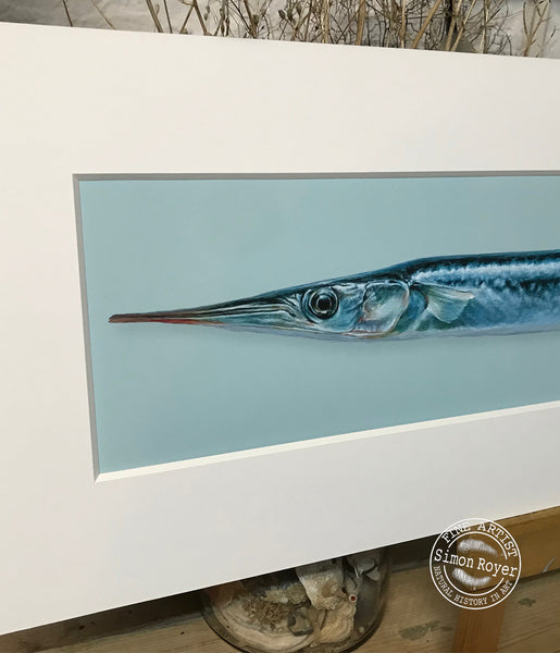 Gar Fish