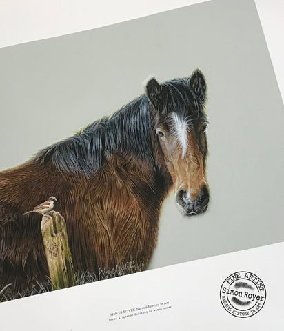 Horse & Sparrow