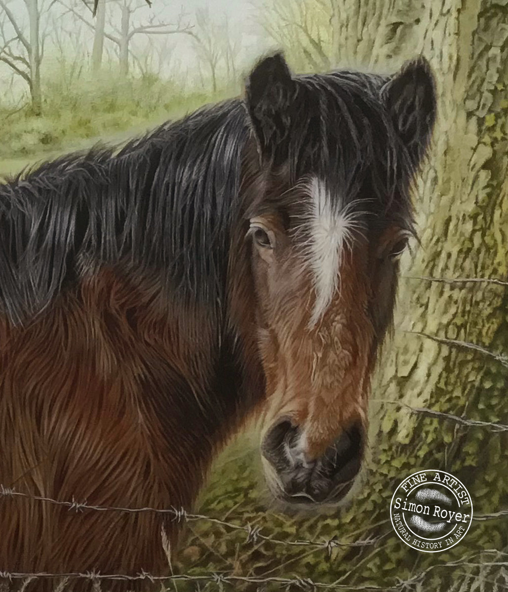 Horse and Sparrow Print