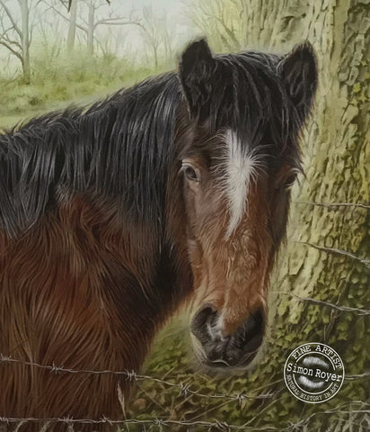 Horse and Sparrow Print