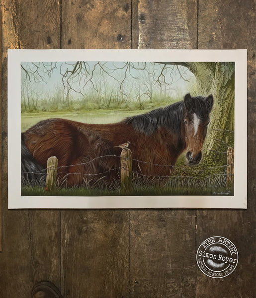 Horse and Sparrow Print