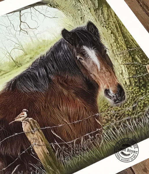 Horse and Sparrow Print