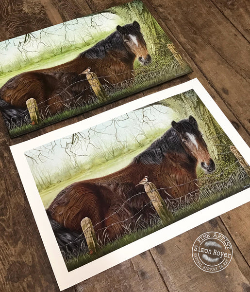 Horse and Sparrow Print