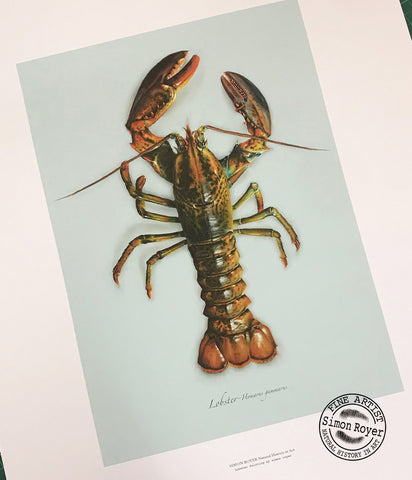 Lobster