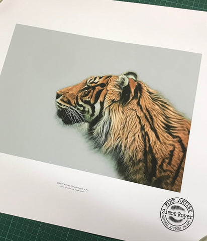 Tiger Print