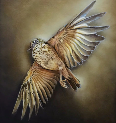 'Song Thrush bird still life oil painting by artist simon royer.'