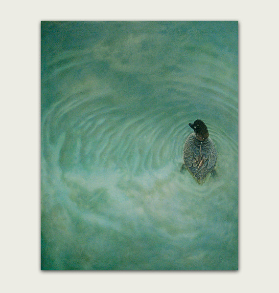 'Southern Pochard duck oil painting by artist simon royer.'