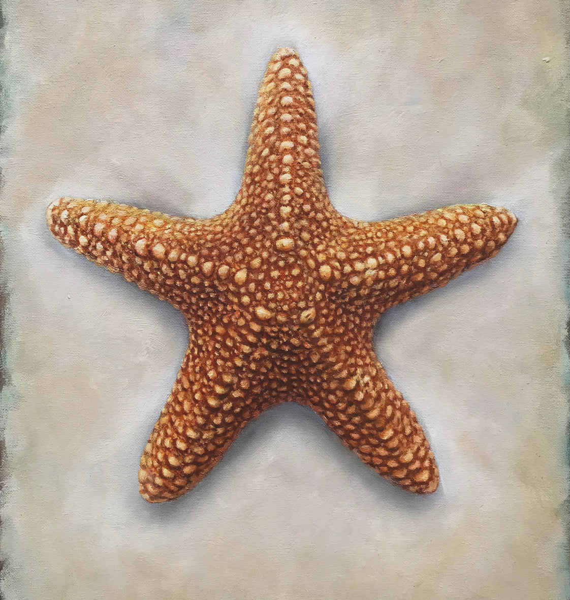 'Starfish still life oil painting by artist simon royer.'