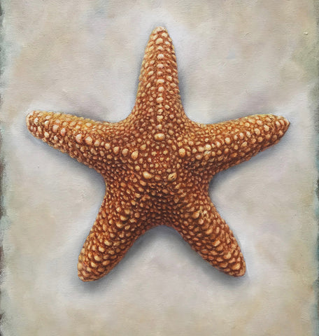 'Starfish still life oil painting by artist simon royer.'