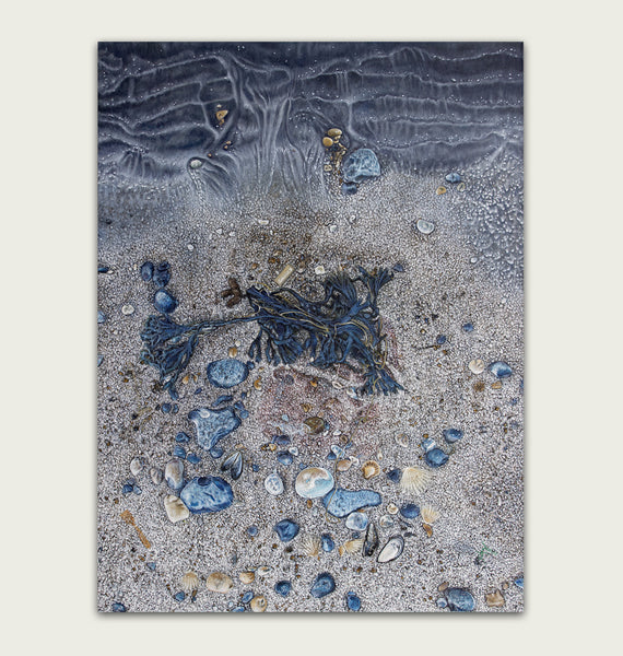 Tide Line
