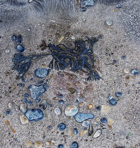 Tide Line