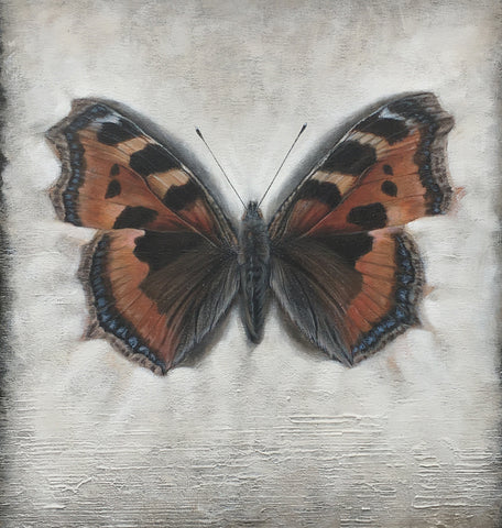 Tortoiseshell Butterfly