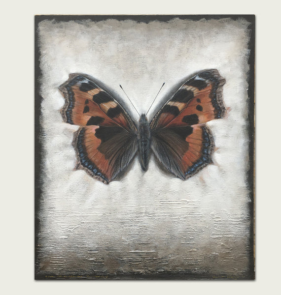 Tortoiseshell Butterfly