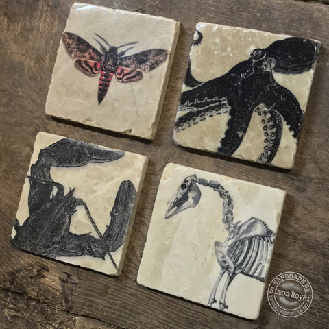 Rustics Coasters