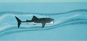 Whale Shark Illustration by simon royer.'