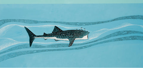 Whale Shark Illustration by simon royer.'