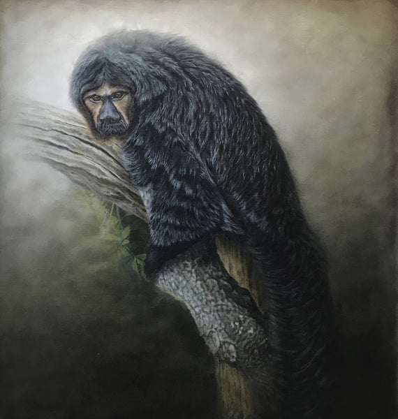 White Faced Saki