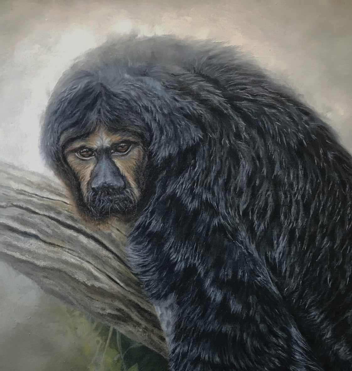 White Faced Saki