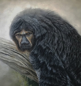 White Faced Saki