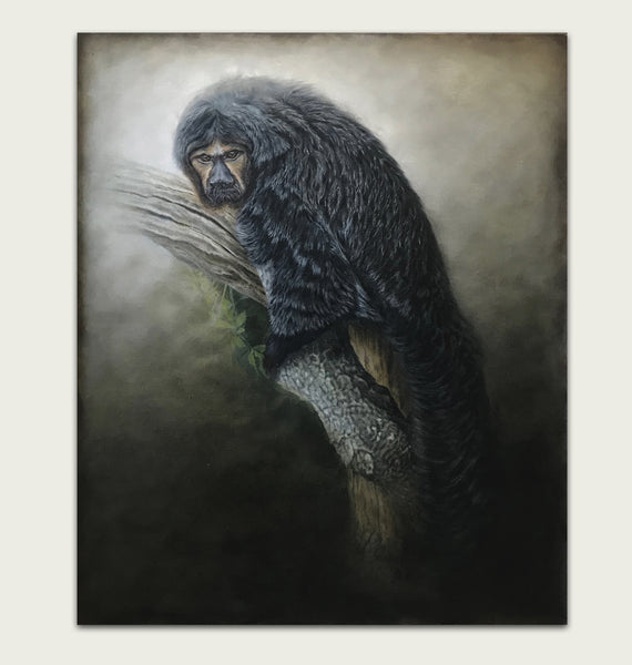 White Faced Saki